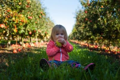 Alimentation chez l'enfant